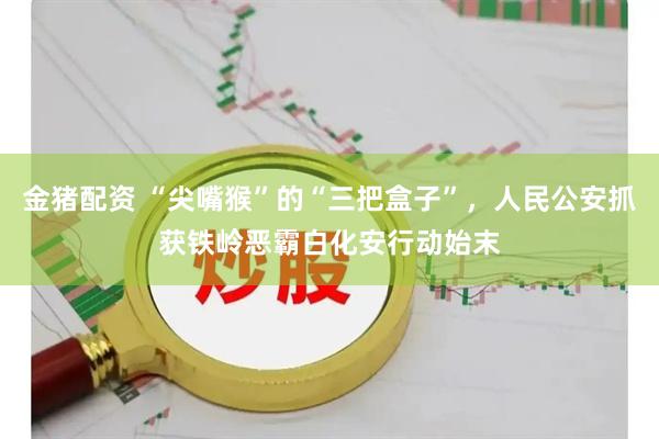 金猪配资 “尖嘴猴”的“三把盒子”，人民公安抓获铁岭恶霸白化安行动始末